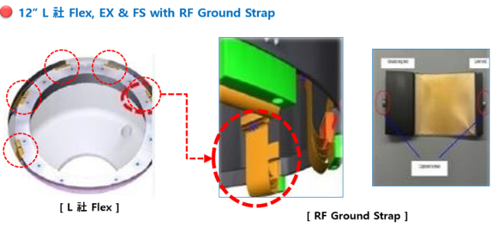 RF1.png